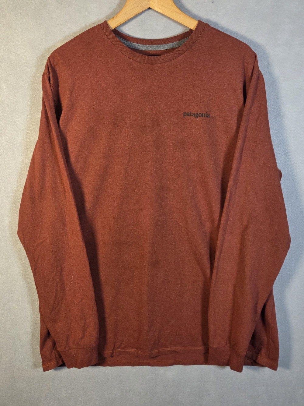 Patagonia cinnamon-colored long-sleeve t-shirt (L689)